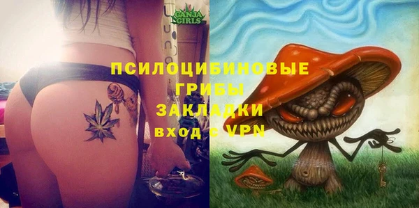 прущие грибы Верея