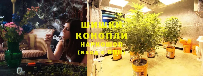 где найти   Муравленко  Шишки марихуана SATIVA & INDICA 